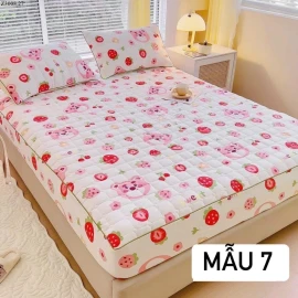 Ga + gối đậu nành M6: sỉ 182k/1 set M8: sỉ 193k/1 set 2M2: sỉ 217k /1 set