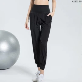 QUẦN JOGGER THỂ THAO NỮ sỉ 124k/chiếc