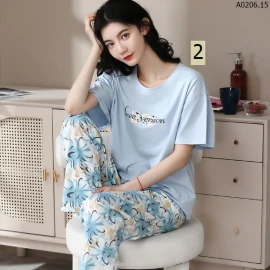 BỘ COTTON ÁO CỔ TRÒN QUẦN DÀI NỮ sỉ 185k/bộ