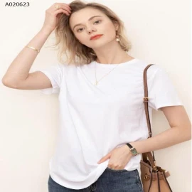 ÁO PHÔNG CỔ TRÒN HÃNG CANVAUS-sỉ 172k