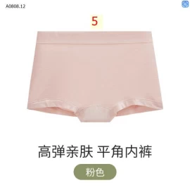 SET 2 QUẦN CHÍP ĐÙI CHO NỮ -Sỉ giá 60k/2 chiếc chọn màu
