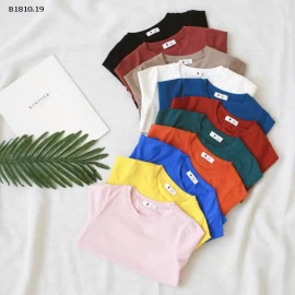 Áo thun cotton tay ngắn  cho bé- sỉ giá 63k/chiếc  bán từ 2 chiếc