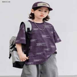 ÁO THUN TÍM IN CHỮ-sỉ 161k