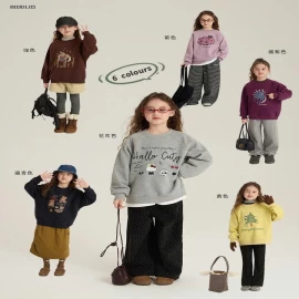 Áo nỉ họa tiết BST mới AMBB-Giá sỉ  sz 90-150: 165k  sz 160: 182k  sz 170: 198k 