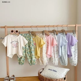 BỘ HÈ HỌA TIẾT BG- sỉ 169k