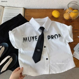 ÁO SƠ MÌ KÈM CÀ VẠT - sỉ 158k