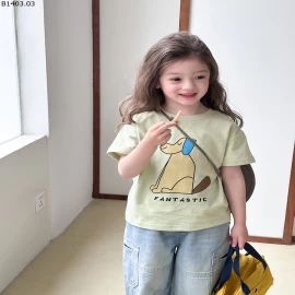 ÁO PHÔNG AMBB BÉ GÁI Giá sỉ  size 90-150 : 107k Size 160 : 115k  size 170 : 125k