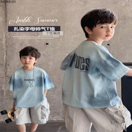 ÁO PHÔNG BÉ TRAI AMBBKIDS gia si sz 90-150--- G.i.á  152k sz 160--- G.i.á 166k  sz 170--- G.i.á 179k