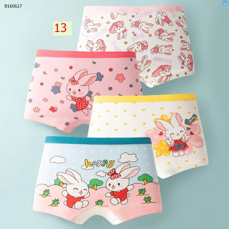 mẫu 13