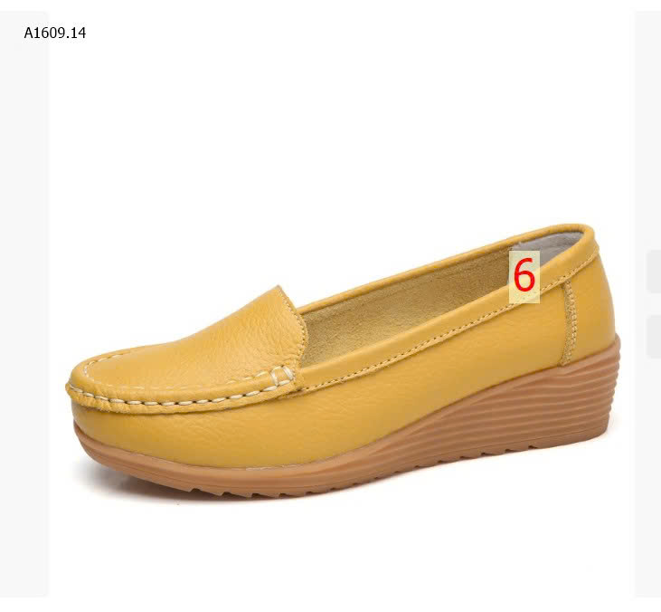 màu 6