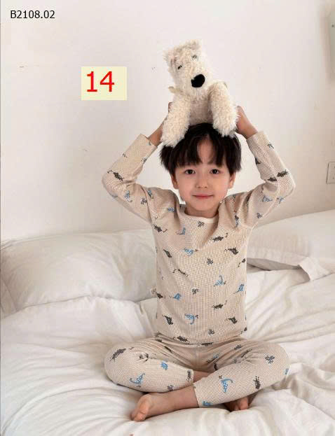 MẪU 14