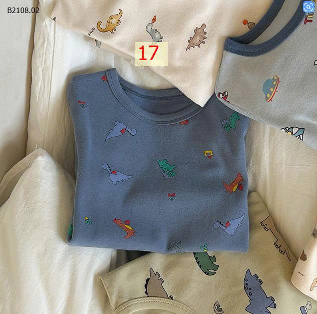MẪU 17