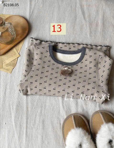 MẪU 13