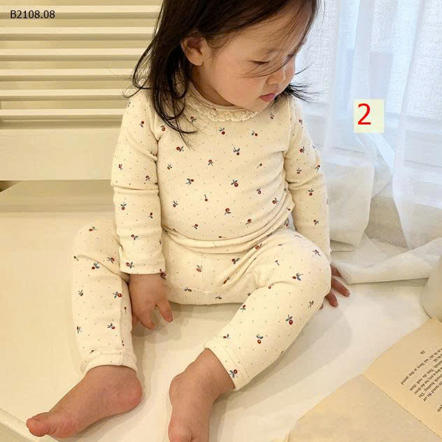 MẪU 2