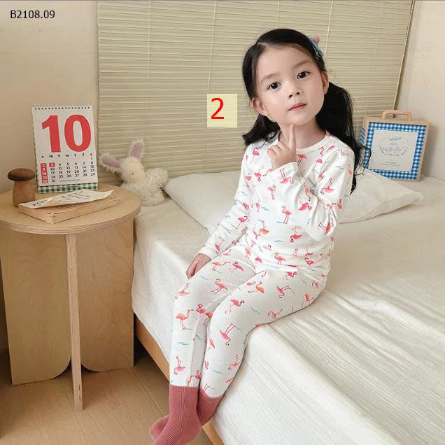 MẪU 2