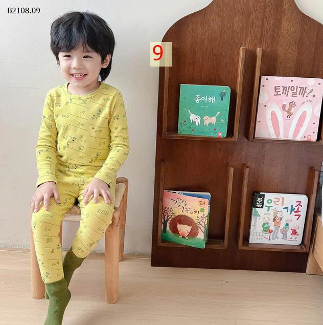 MẪU 9