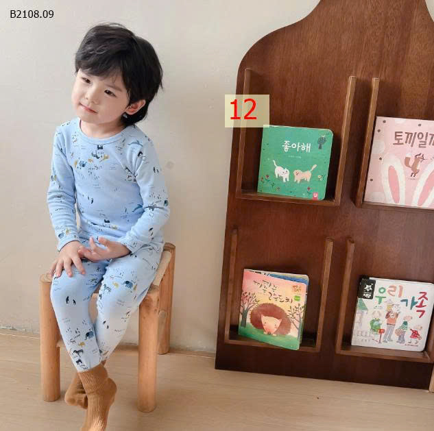 MẪU 12