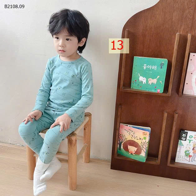MẪU 13