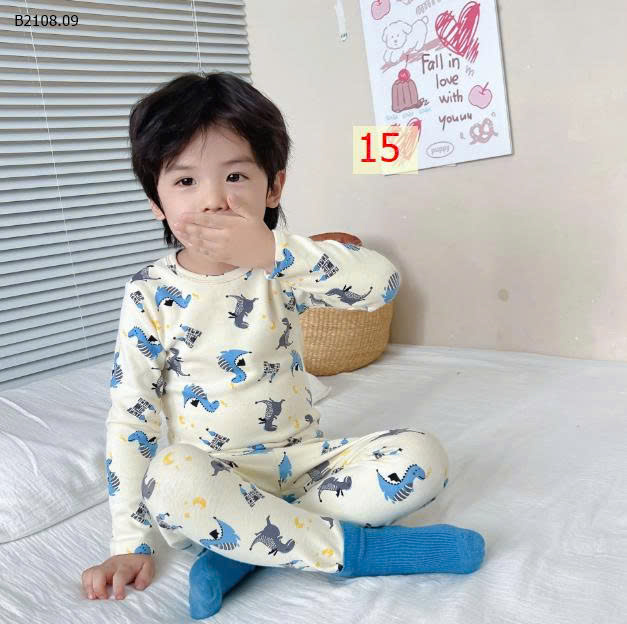 MẪU 15