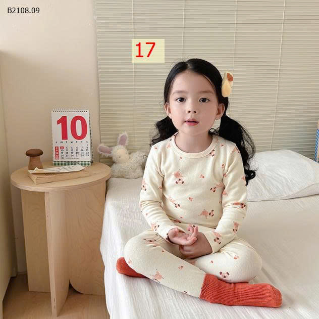 MẪU 17