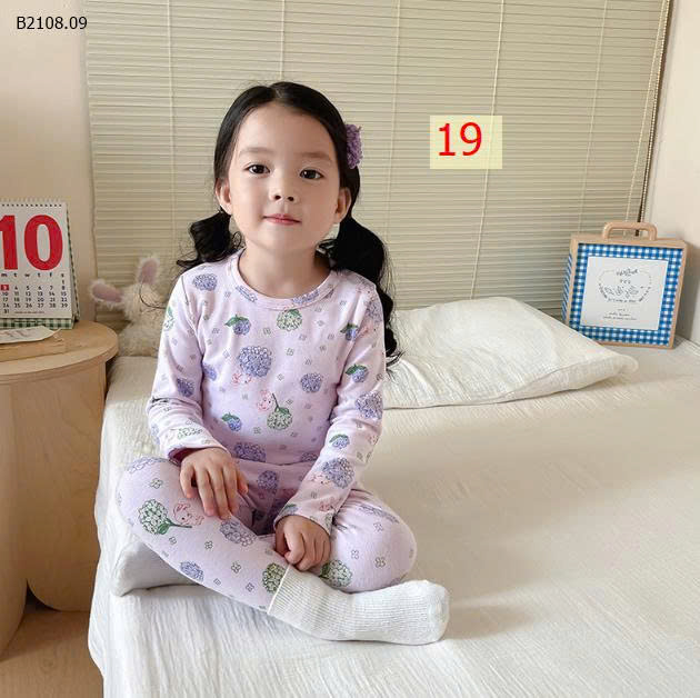 MẪU 19