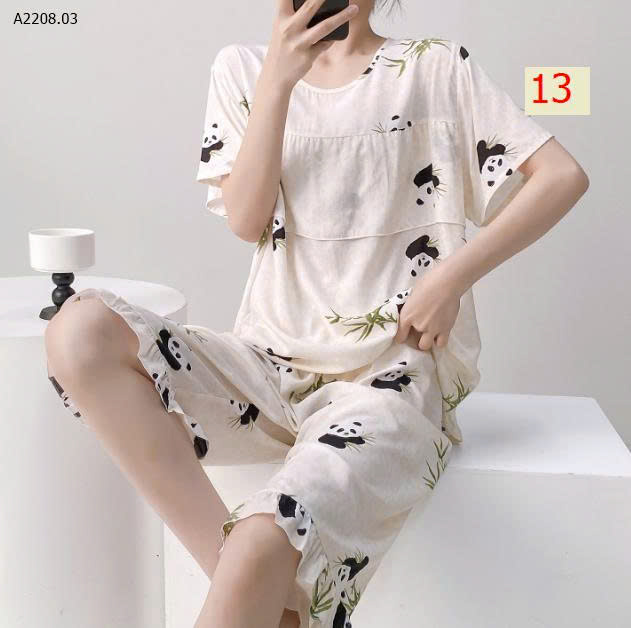 MẪU 13