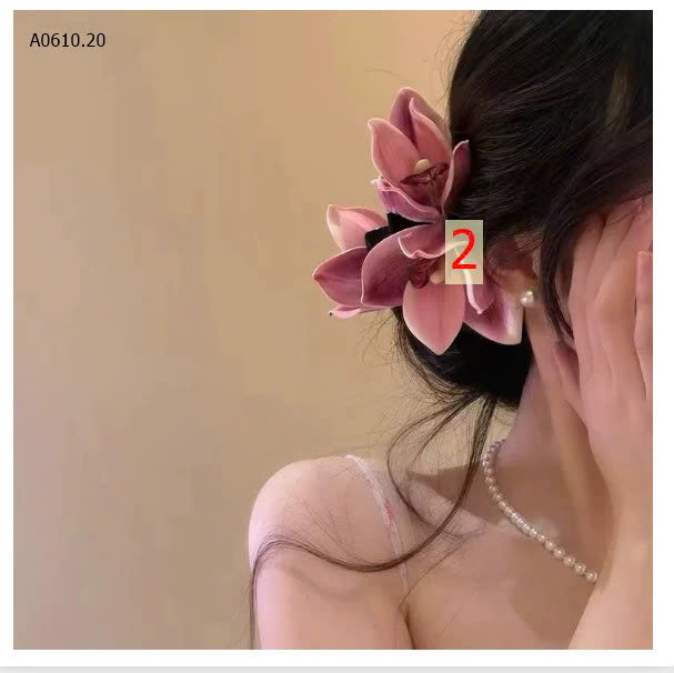 màu