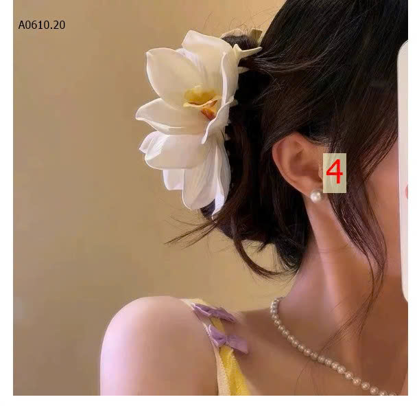 màu