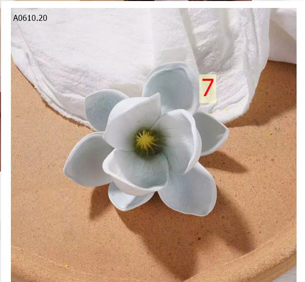 màu