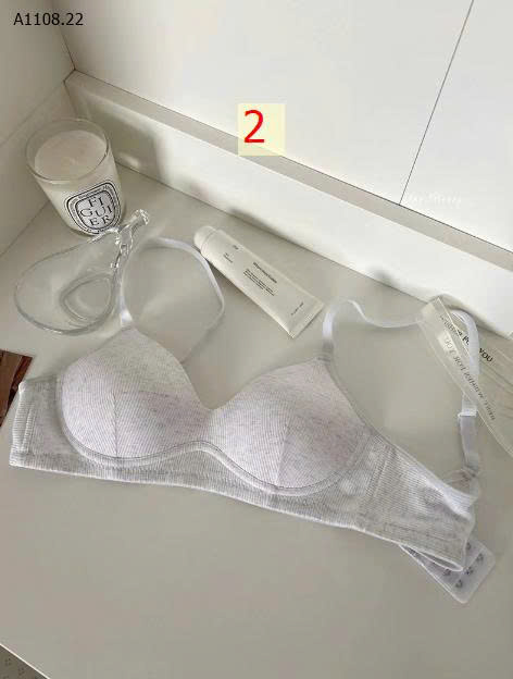 MẪU  2