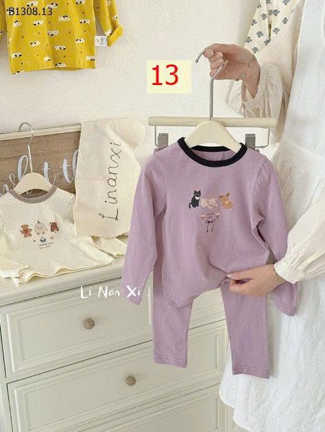 MẪU 13