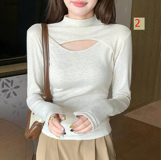 MẪU 2