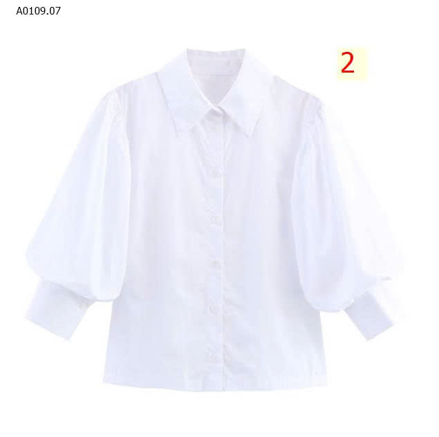 MẪU 2