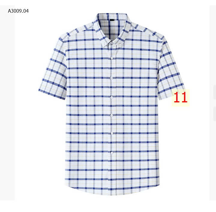 MÀU 11