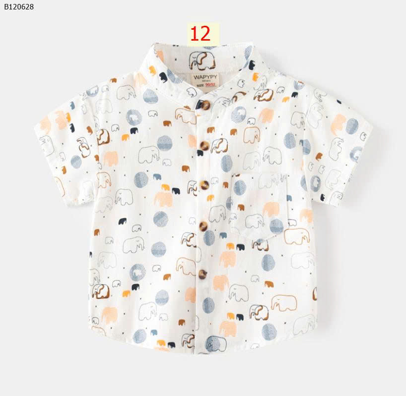 MẪU 12