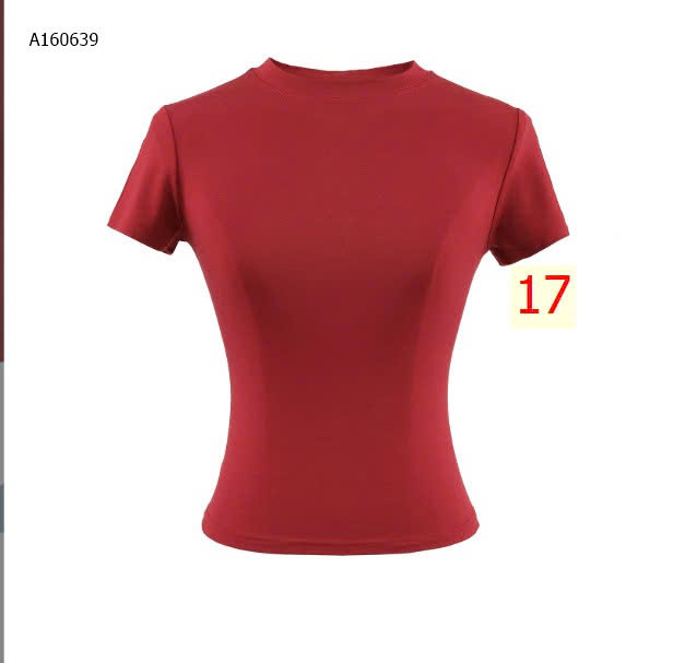 mẫu 17