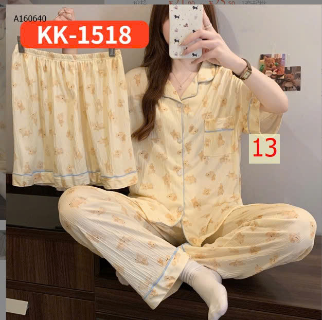 mẫu 13