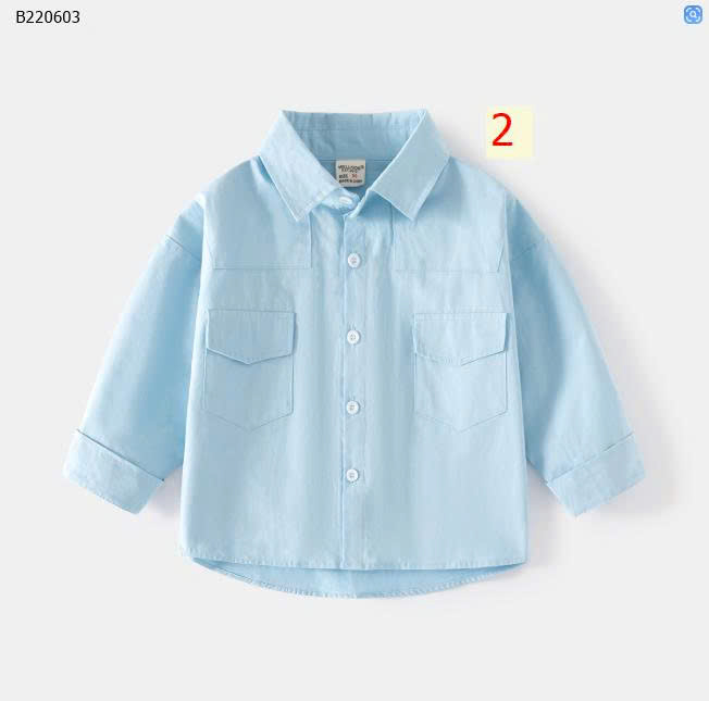 mẫu 2