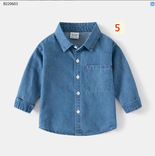 mẫu 5