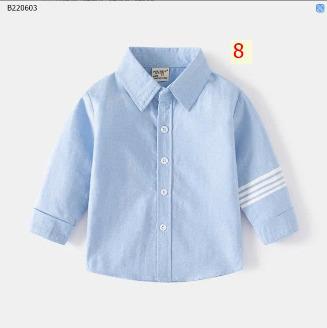 mẫu 8