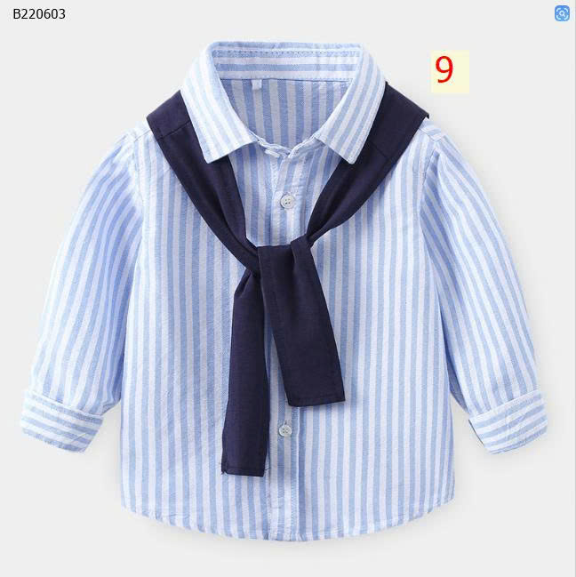 mẫu 9