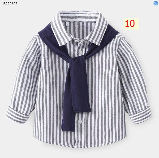 mẫu 10