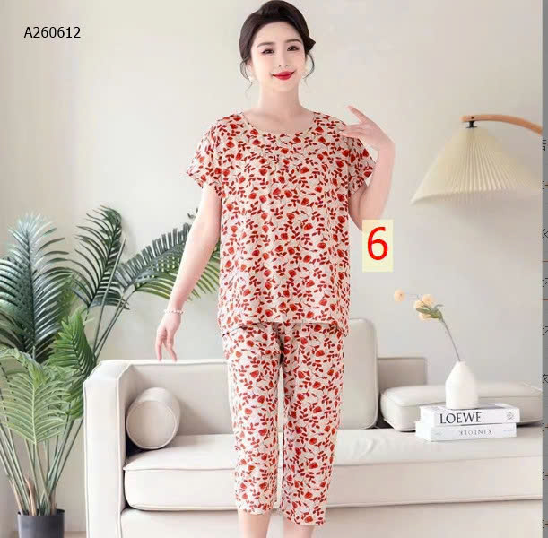 MẪU  6