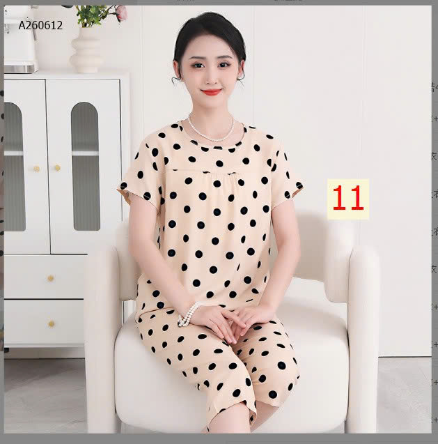 MẪU  11