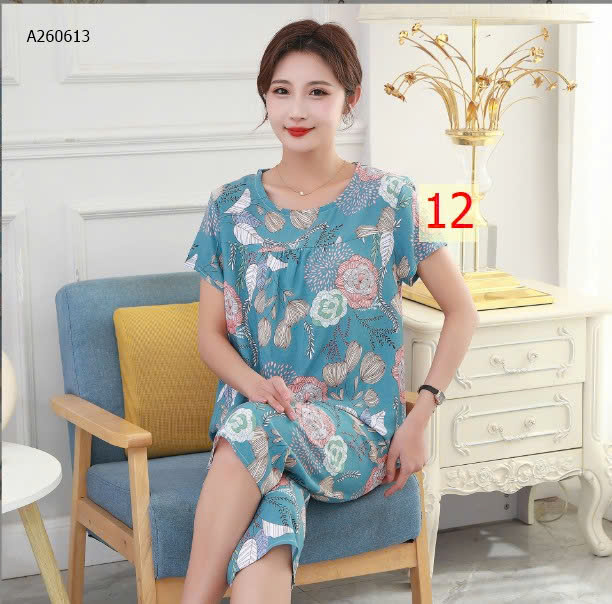 MẪU 12