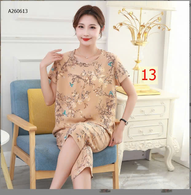 MẪU 13