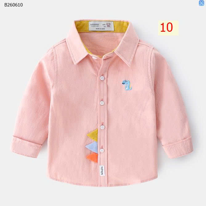 MẪU 10