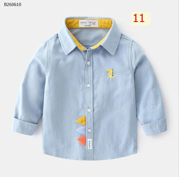 MẪU  11