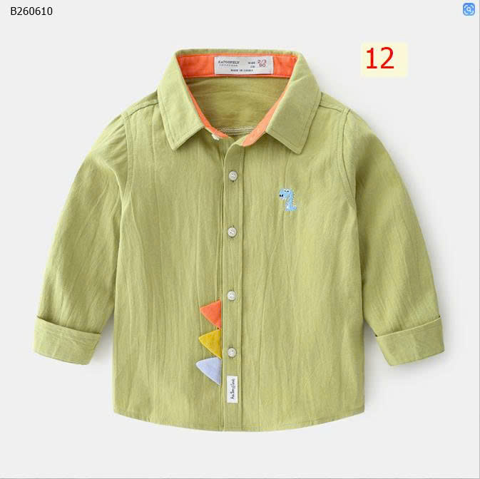 MẪU 12