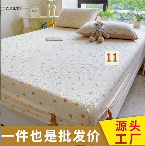 MẪU 11
